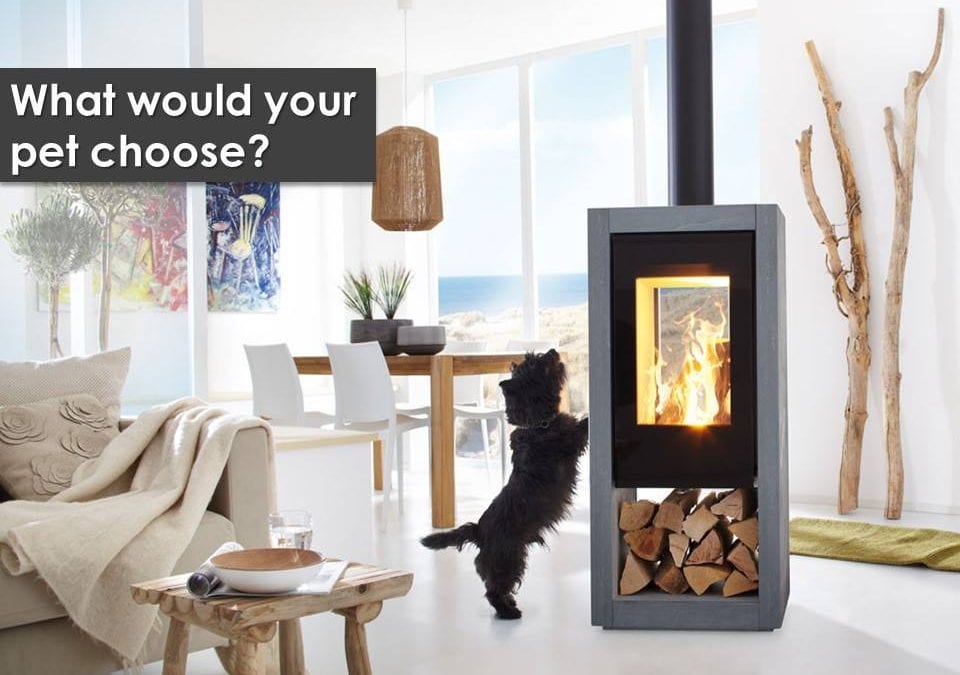 Who loves to cosy up to a fireplace more than you? Your pets!