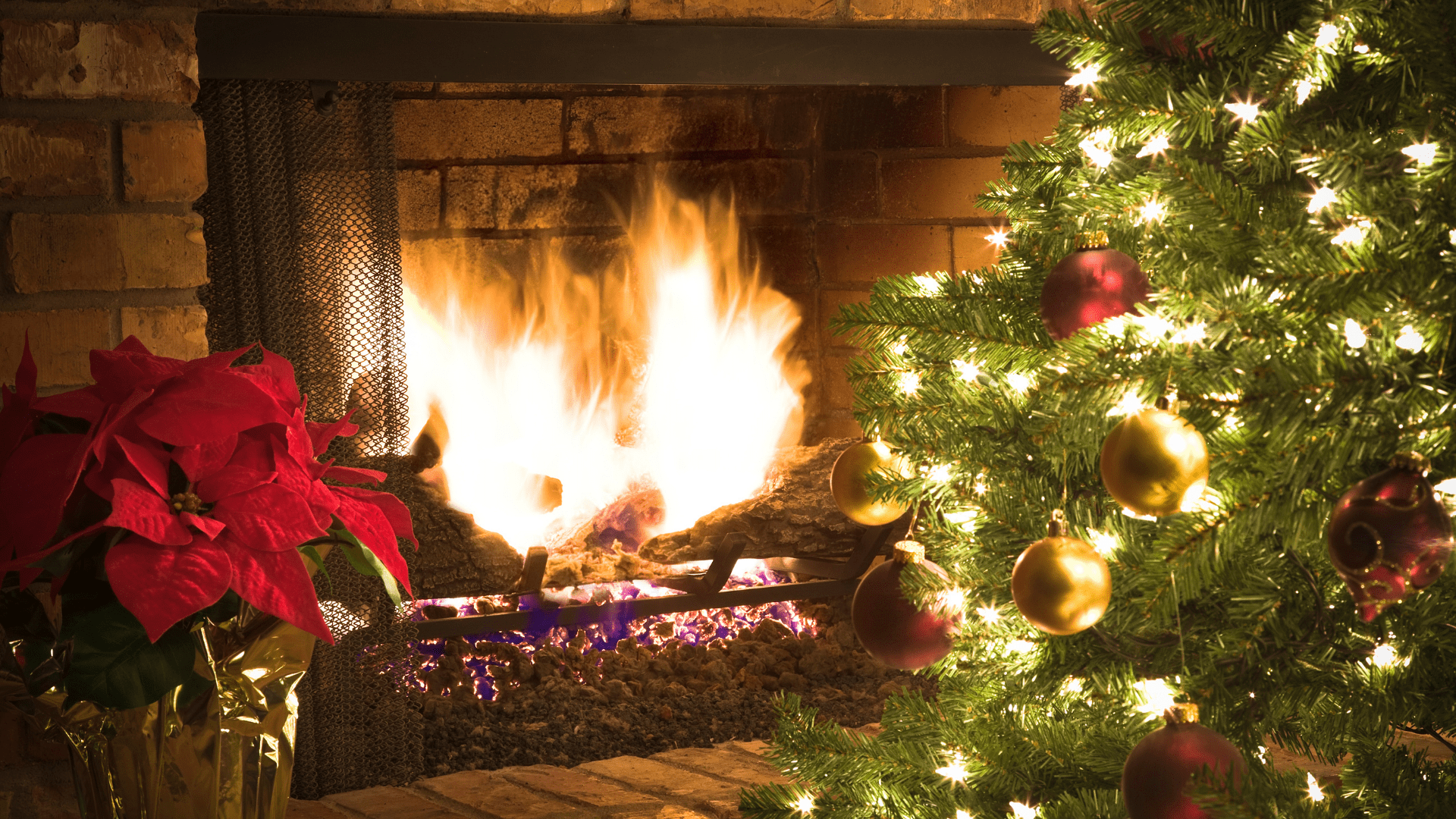 The top 10 Luxury Fires to have for Christmas - Luxury Fire Showroom